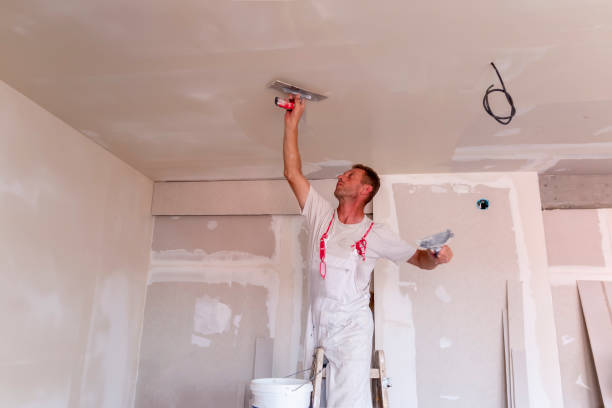 Best Interior Painting  in USA